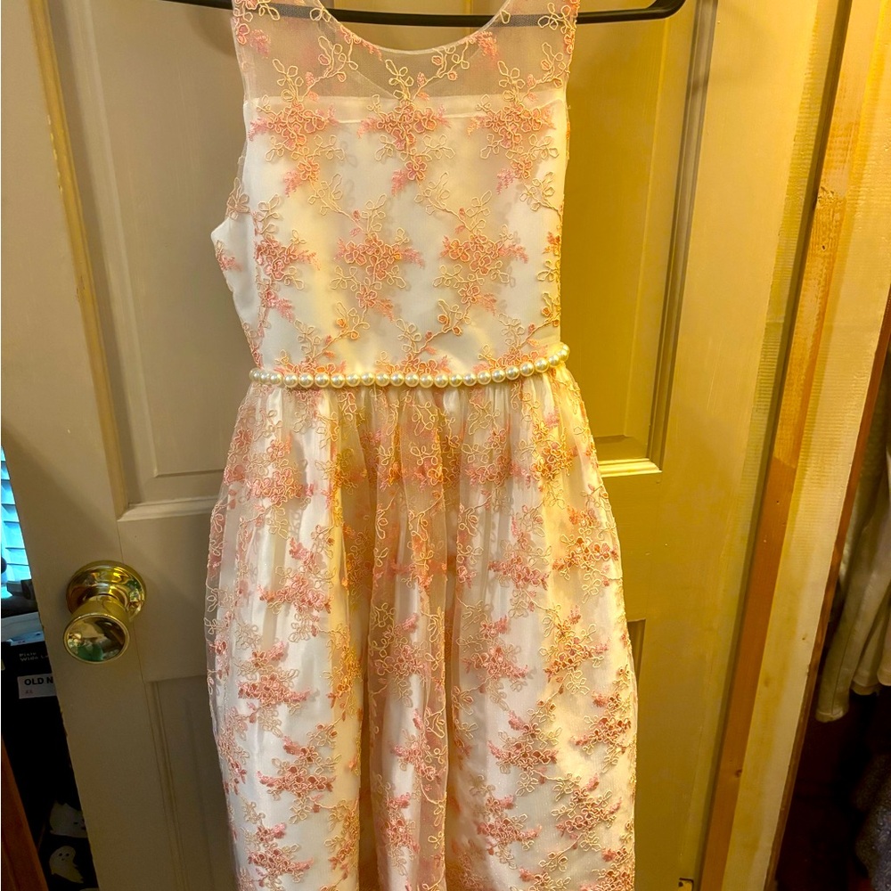 American Princess special occasion dress in girls size 12.